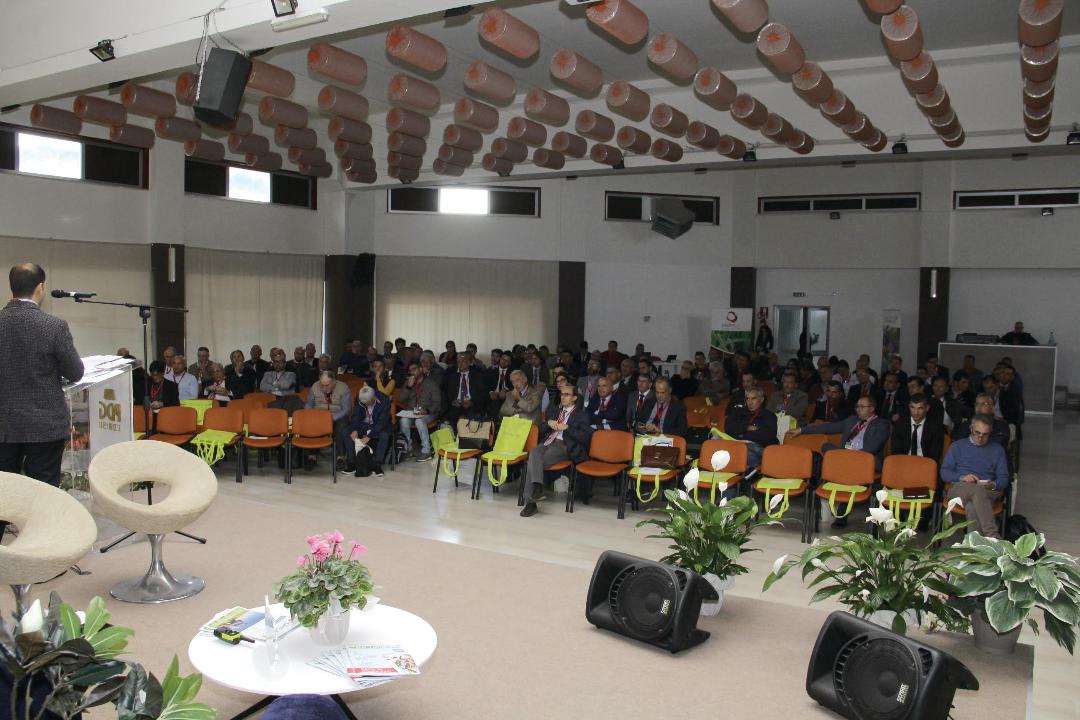 Convegno a Comiso: Pomodorino, una seconda vita grazie all’industria conserviera