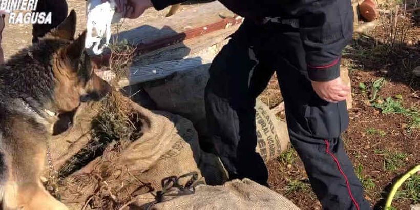Droga a fiumi nel Ragusano: scattano dieci arresti