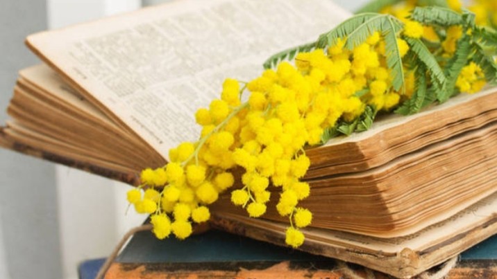 Ogni giorno è l’8 marzo delle donne