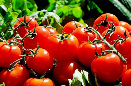 Tomato Brown, tavolo tecnico in Regione  per ristori settore ortofrutticolo ibleo