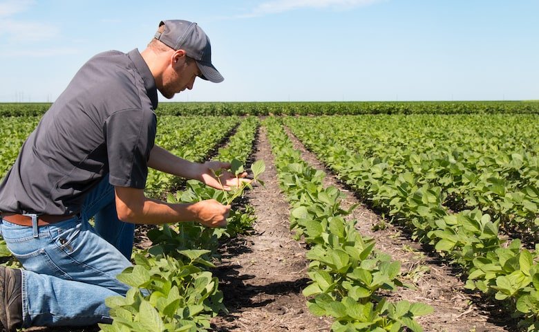 Scicli, prevenire il contagio pandemico nelle campagne e nelle aziende agricole
