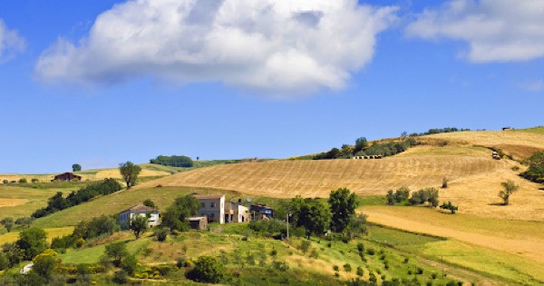 Agricoltura Sicilia, ristori per 15 milioni alle aziende colpite dal lockdown
