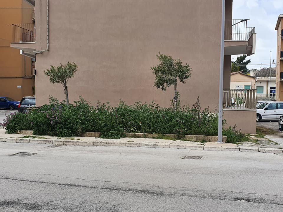Modica: casse comunali in “rosso”, ma in città il verde “spontaneo” non manca