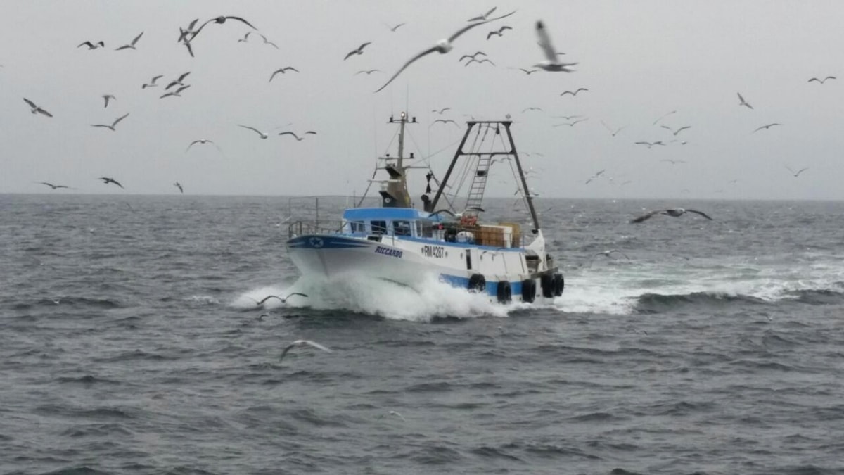 Finanziaria Sicilia: aiuti per la pesca e campagna forestali finanziata con fondi Ue
