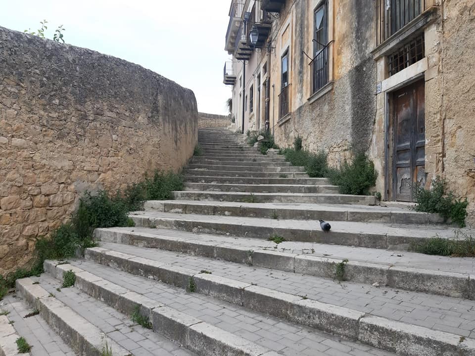 Via Castello “quasi” impraticabile, strada invasa da erbacce e deiezioni di cani e gatti