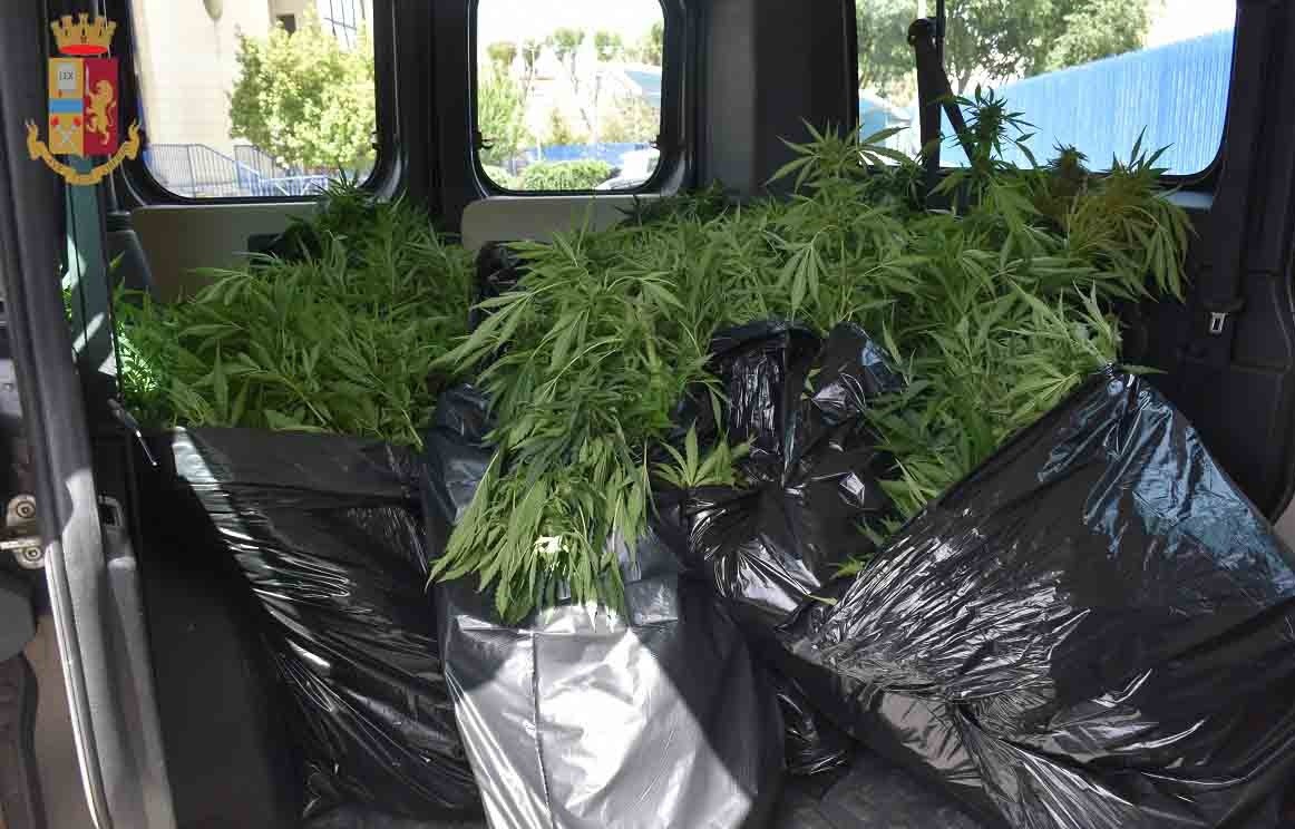 Scicli: sequestrati dalla Polizia oltre 93 chili di “Cannabis Sativa”, avrebbe fruttato 500 mila euro