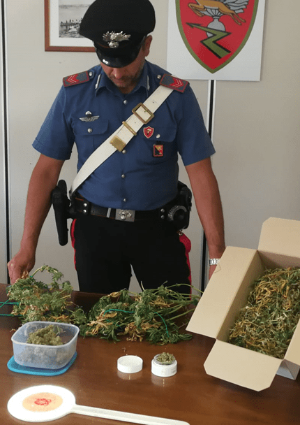 In casa con 125 grammi e due piante di marijuana, arrestato un trentaseienne