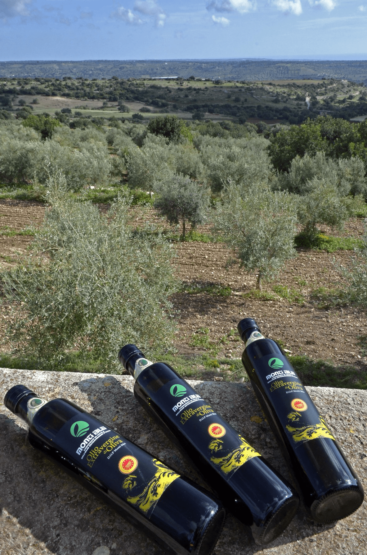 Olio Dop Monti Iblei, accolta la modifica al disciplinare