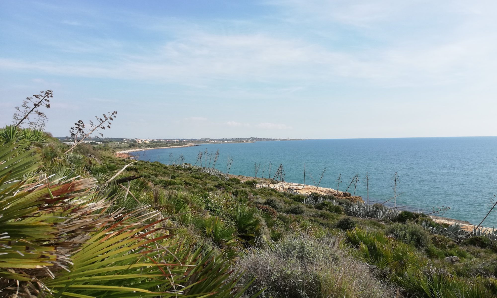 Sampieri, campo di volontariato internazionale  nel Parco di Costa di Carro