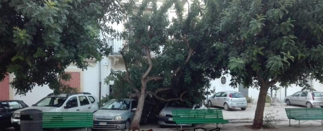 Maltempo: a Scicli un albero cade su auto in sosta in piazza Risorgimento, nessun ferito