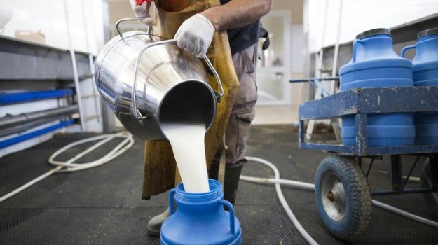 Aiuti ai produttori del latte: la modifica della Regione che non piace al Distretto di Ragusa