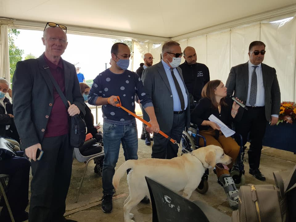 Giornata nazionale del cane guida, l’Uici di Ragusa con cinque famiglie affidatarie