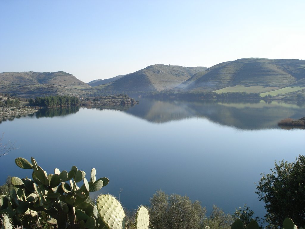 Acqua non potabile in alcuni quartieri di Marina di Ragusa, PD e M5S chiedono chiarimenti e soluzioni