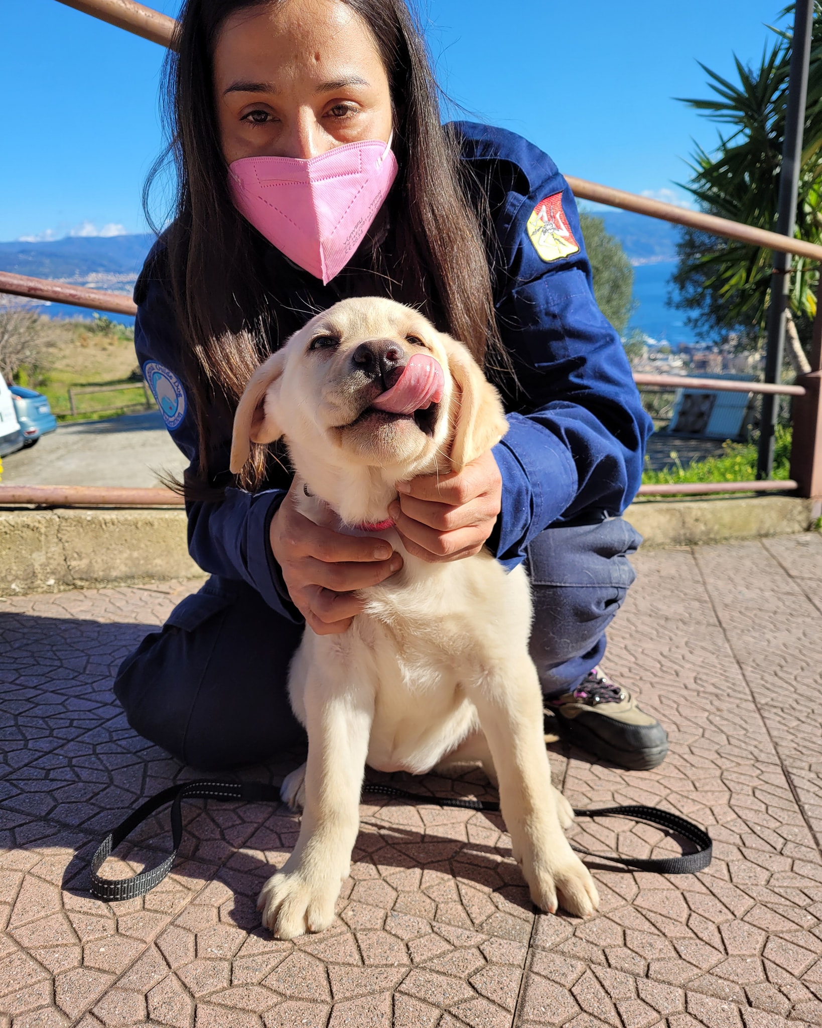 Uici : Cinque famiglie ragusane hanno adottato un cane guida per ciechi e ipovedenti