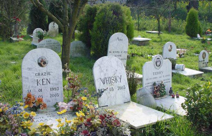 Un cimitero per gli animali d’affezione a Ragusa: D’Asta sollecita l’amministrazione comunale