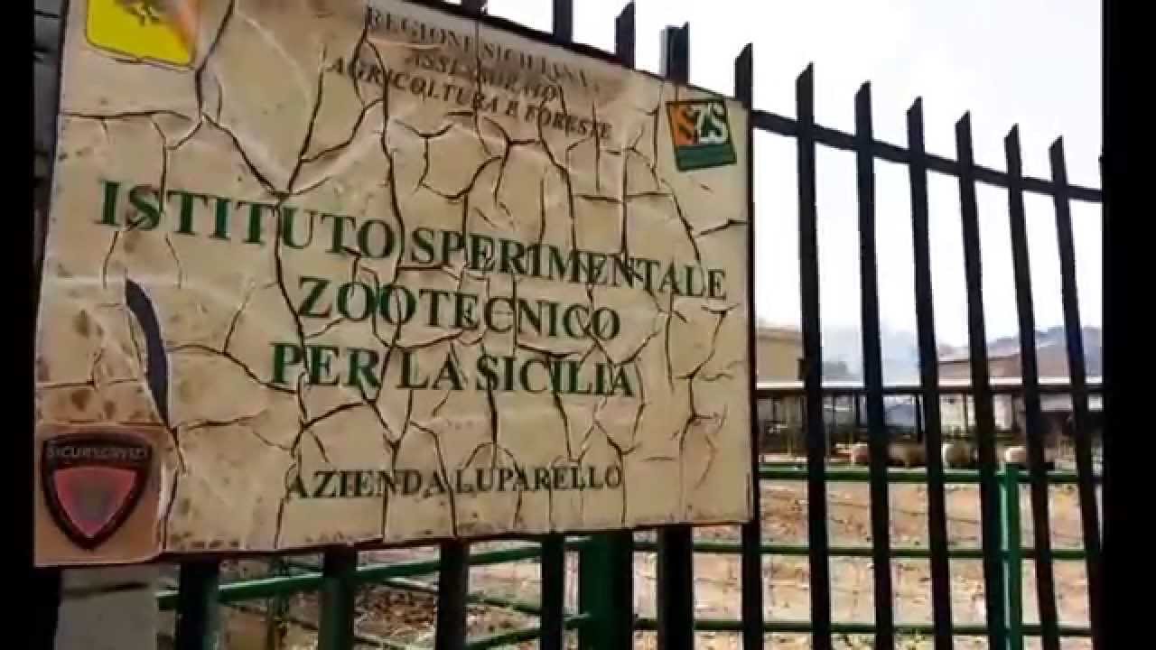 L’Istituto zootecnico siciliano e la stabilizzazione dei suoi dipendenti. A Ragusa sette lavoratori in stato di precarietà