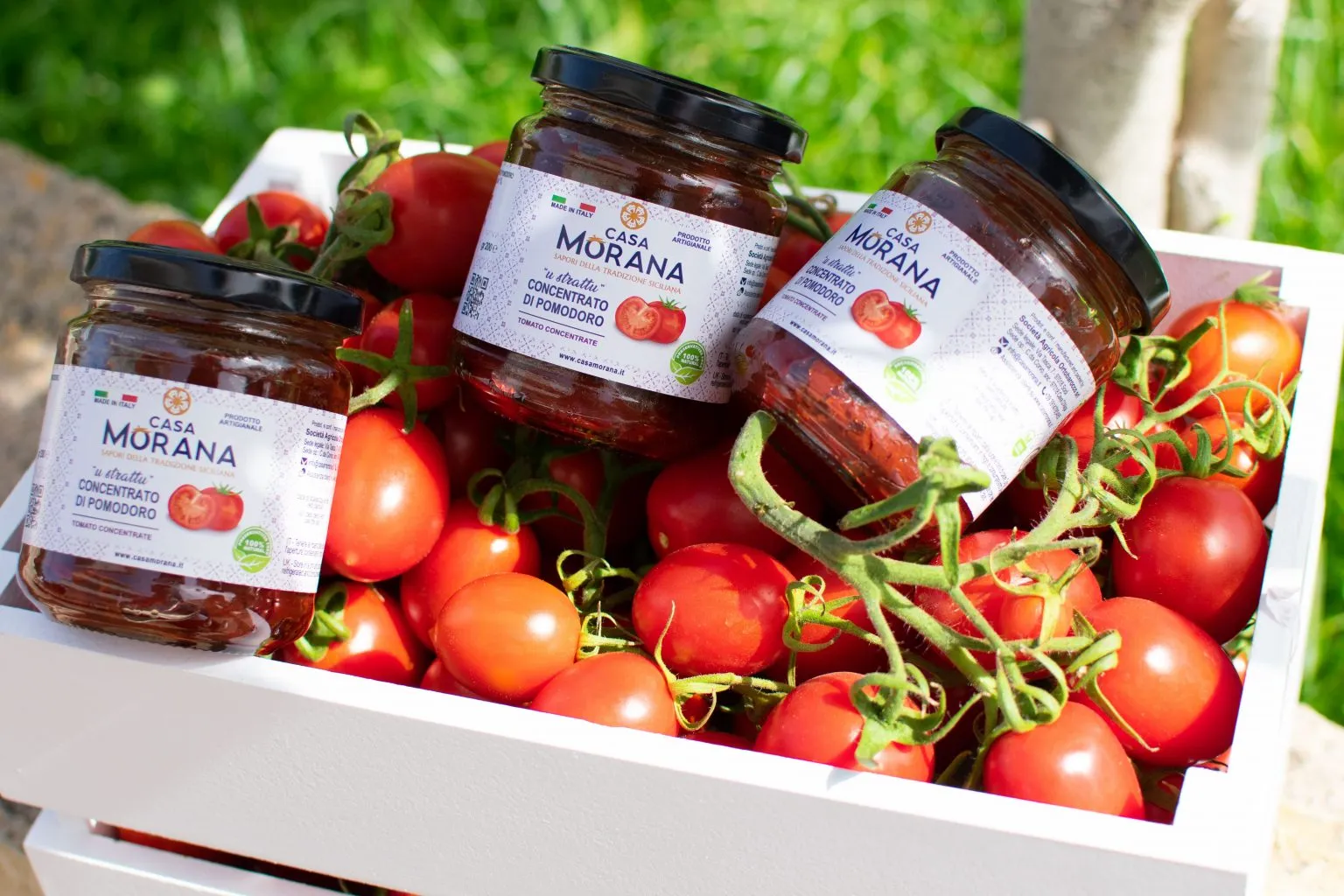 Scicli: secondo Gambero Rosso, Casa Morana è  la migliore azienda che produce “astratto” di pomodoro