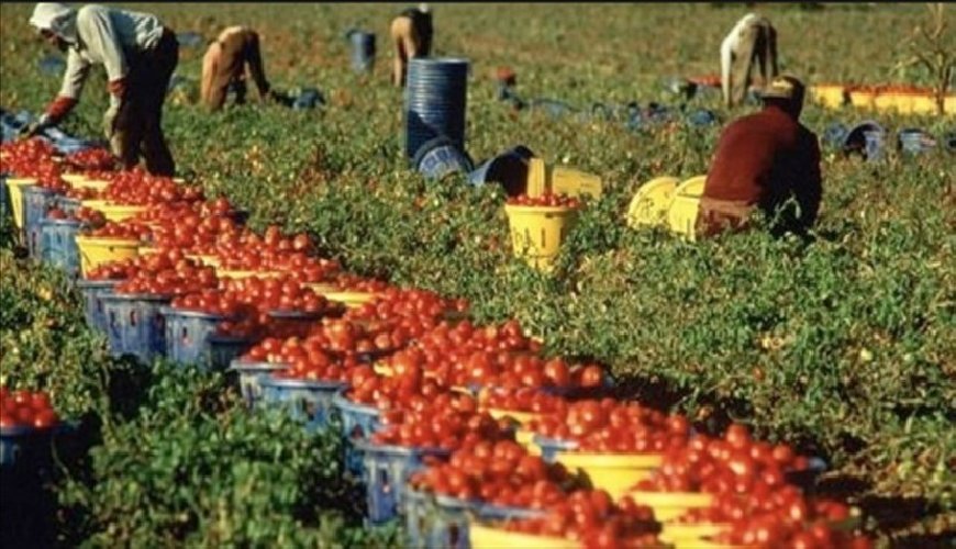 Caporalato in agricoltura, illustrate in un convegno a Ragusa le azioni volte a contrastarlo