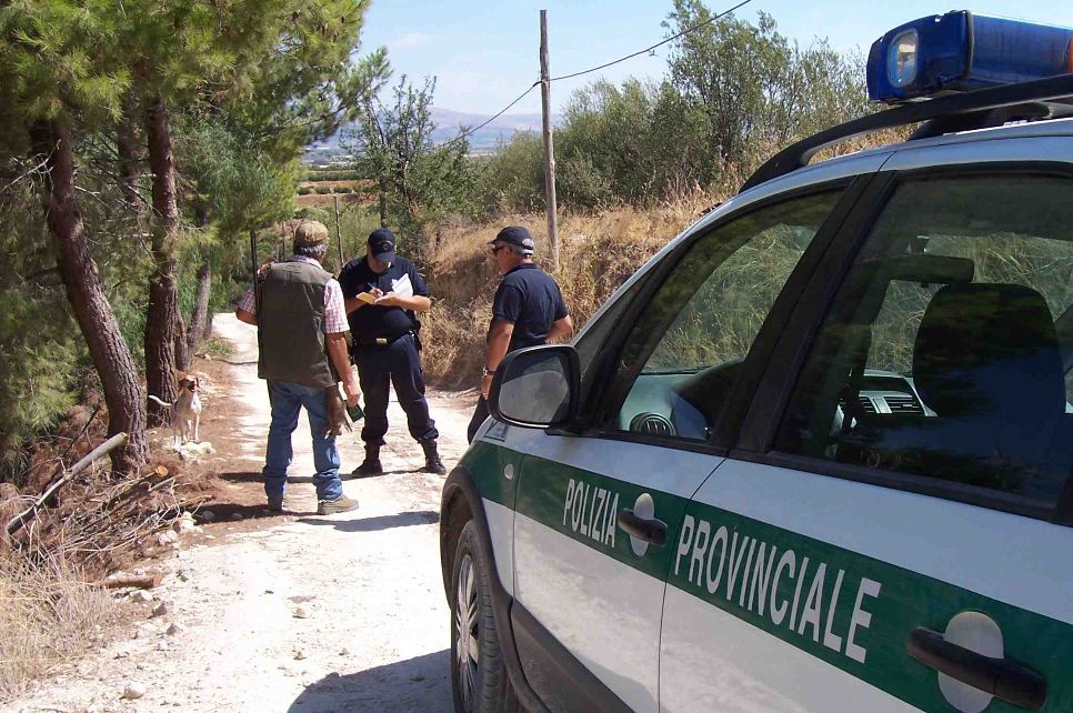 Uccide un istrice a colpi di bastone, cinquantenne denunciato dalla Polizia Provinciale per bracconaggio