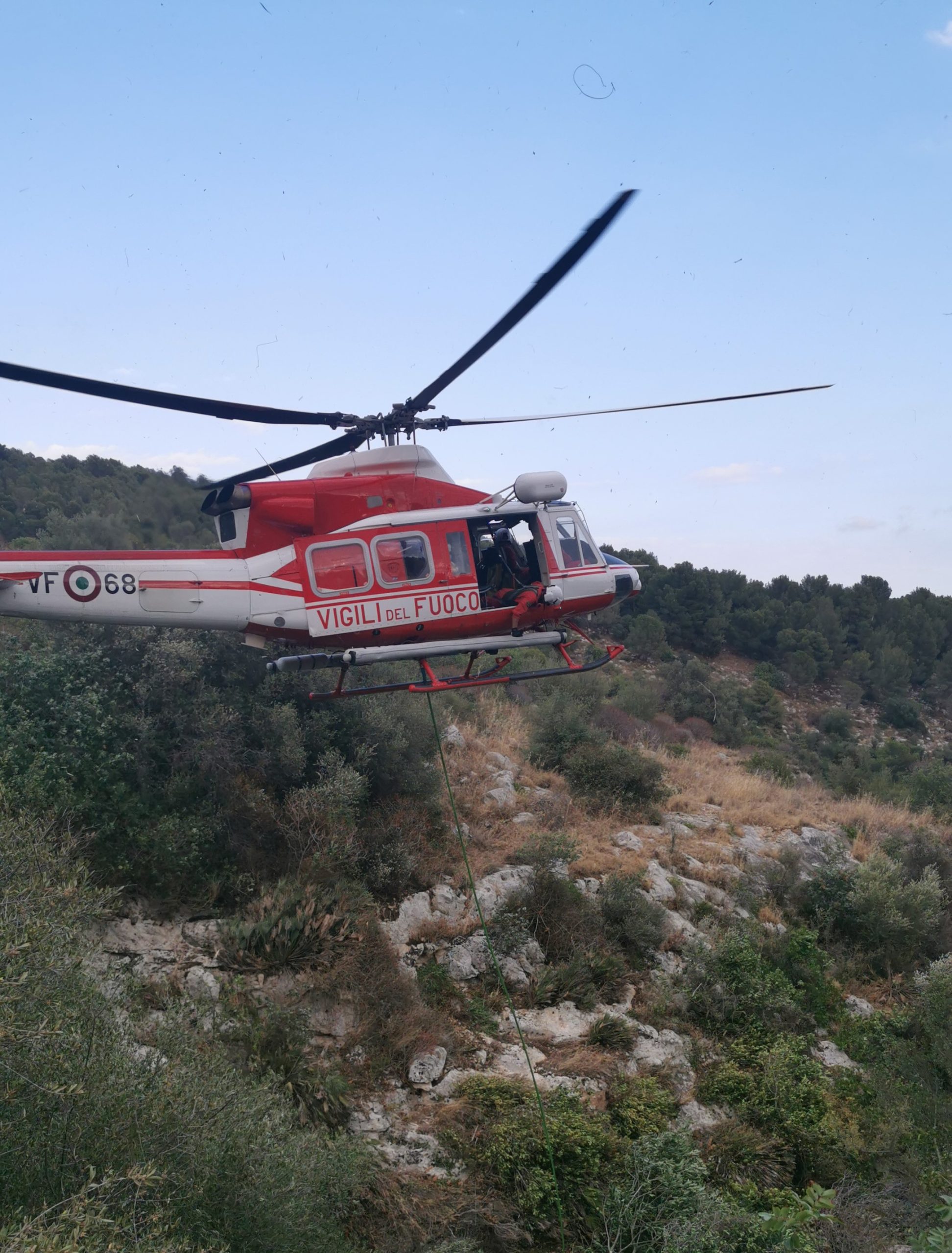 Bovino cade in una scarpata in contrada Cuturi, lo salvano i Vigili del Fuoco con l’ausilio di un elicottero (il video)