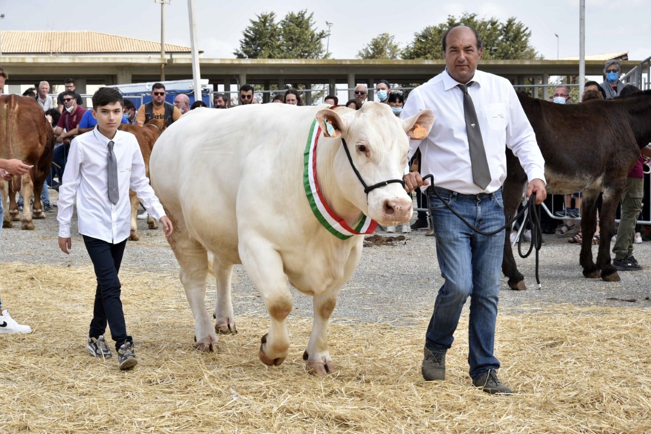 Contributi per 90 mila euro dal Comune di Ragusa e dal Libero Consorzio per la simil Fam