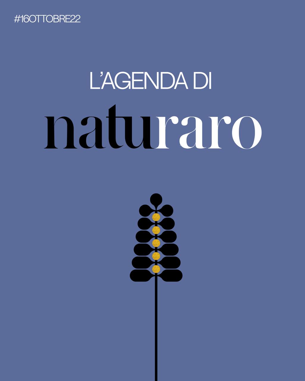 Modica, domenica 16 ottobre è tempo di NatuRaro: incontro e scoperta del naturale