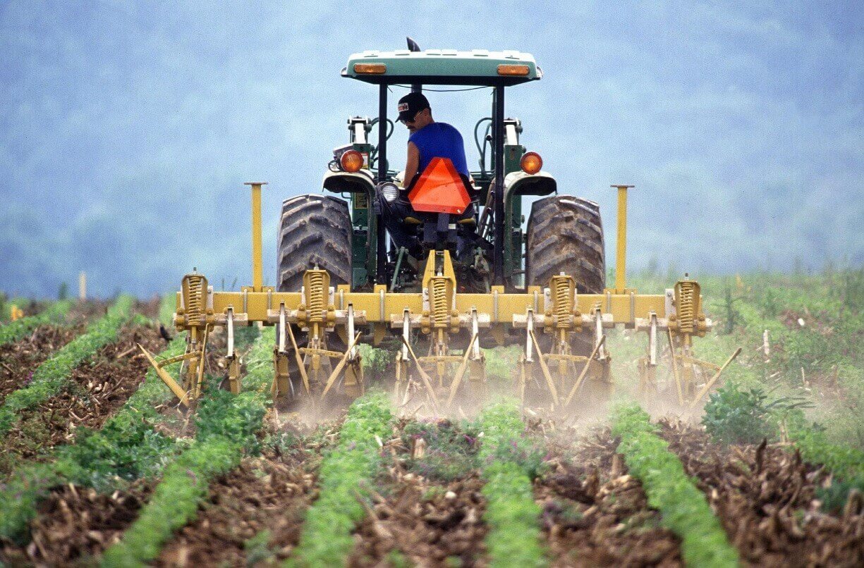 Agricoltura al collasso, Campo: “Nominare subito l’assessore!”
