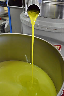 L’olio DOP Monti Iblei cresce in qualità e produzione