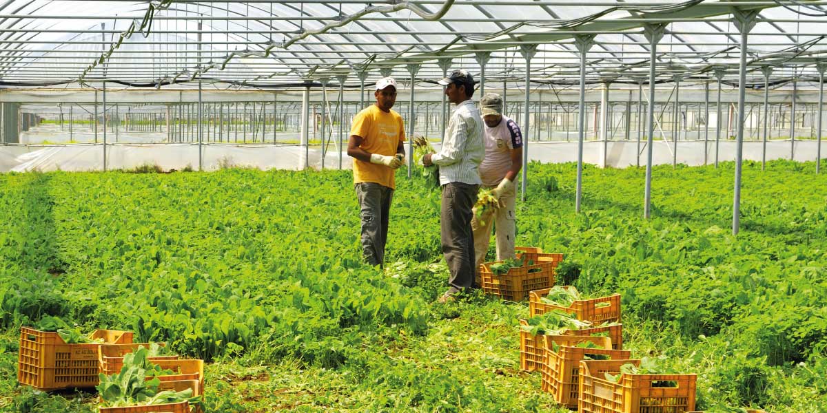 Nasce a Scicli, su iniziativa della CGIL, uno sportello di consulenza per i lavoratori agricoli