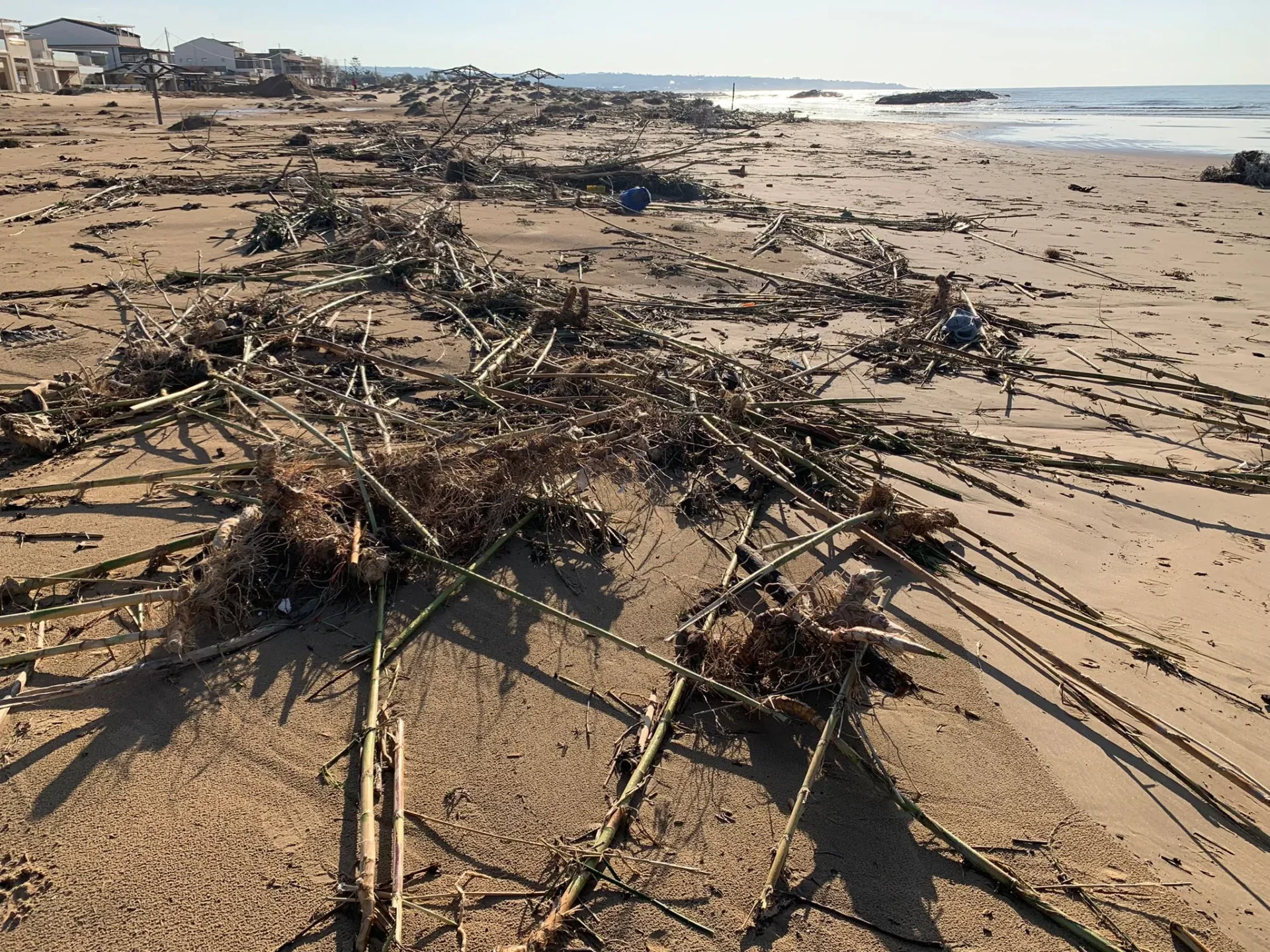 Canne rimosse: la spiaggia di Donnalucata torna fruibile dopo la bonifica