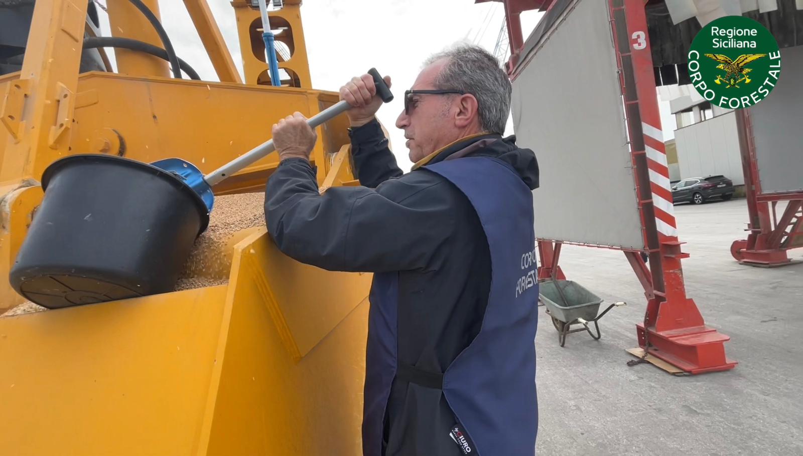 Agricoltura, controlli del Noras su oltre tremila tonnellate di grano estero al porto di Pozzallo