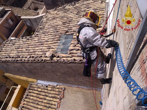 Ragusa: Nido di vespe in via Generale Scrofani, intervengono i Vigili del Fuoco per la bonifica