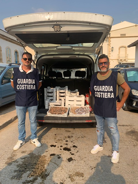 Scoglitti: 100 Kg di prodotti ittici senza tracciabilità, sequestrati e distrutti dalla Guardia Costiera