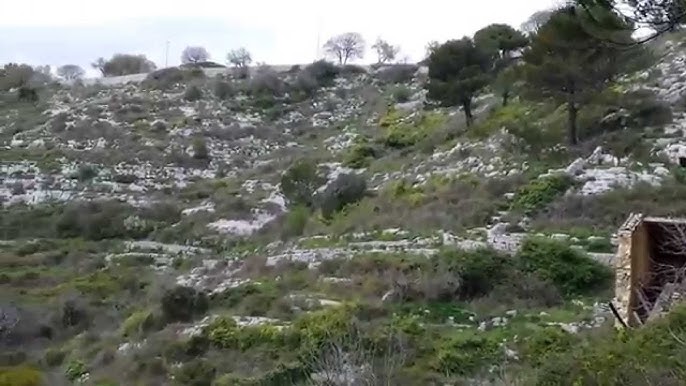 Il Comune di Ragusa e il Libero Consorzio si preparano per la “Settimana dell’ambiente”