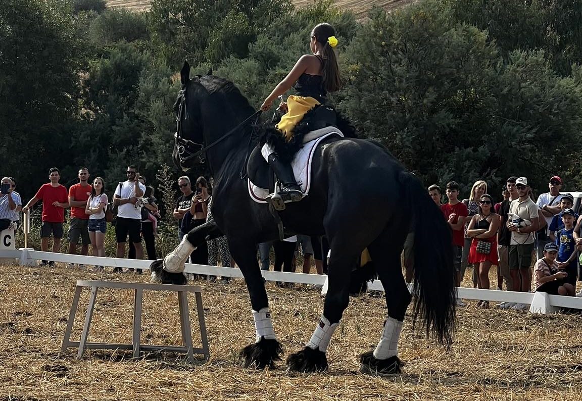 Entra nel vivo a Giarratana la festa di San Bartolomeo: ieri in archivio con successo la Fiera