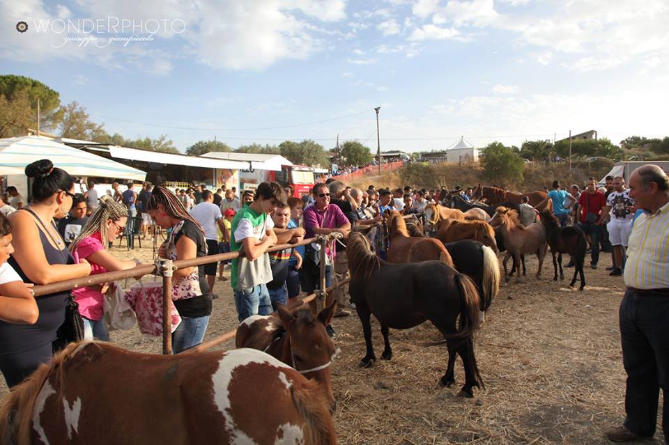 Torna a Giarratana la secolare fiera di San Bartolomeo: c’è anche il Gran Galà dei cavalli