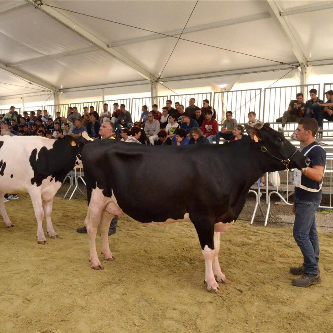 Torna la Fiera Agroalimentare Mediterranea a Ragusa, tutto pronto per la 48esima edizione