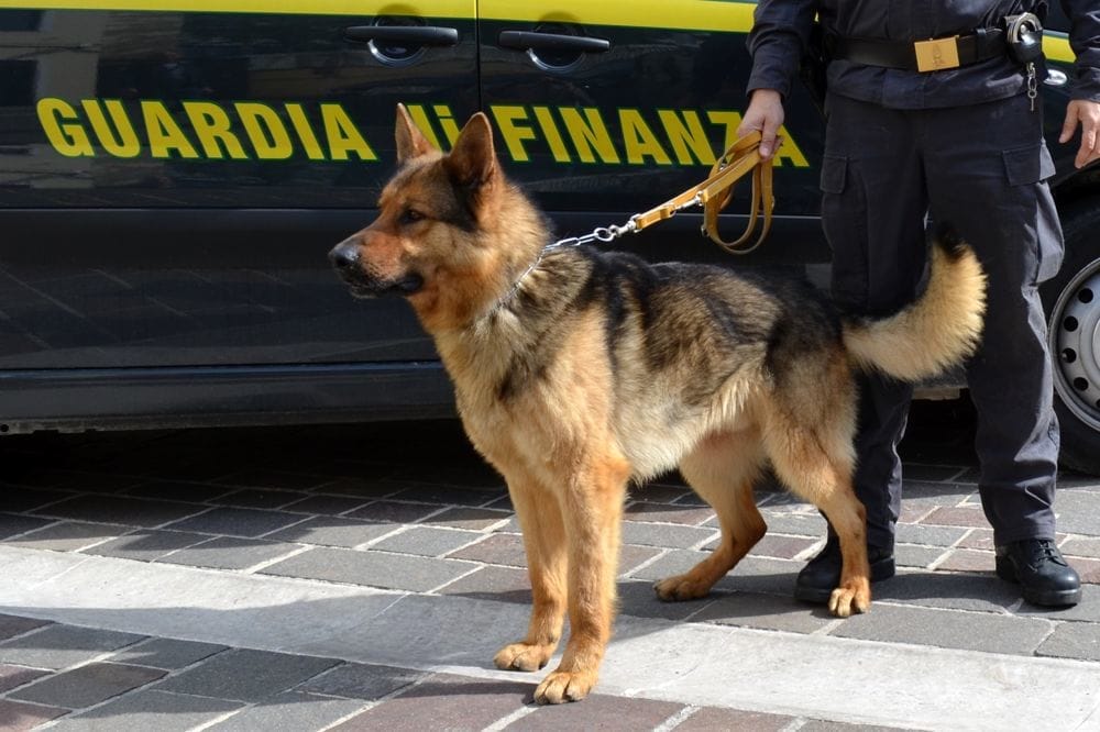 Messina: albanese bloccato dalle Fiamme Gialle con 30 chilogrammi di hashish, era diretto nel ragusano