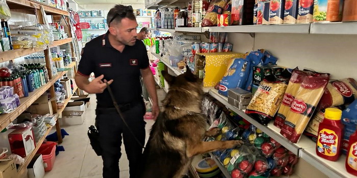 Nascondeva oltre due chili di droga nel suo minimarket di Punta Braccetto, arrestato un comisano di 63 anni