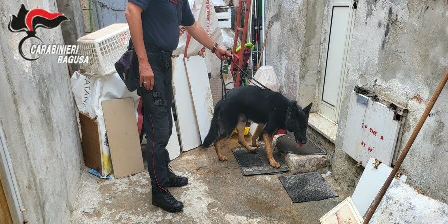 Due giovani di Ispica denunciati dai carabinieri per detenzione e spaccio di droga