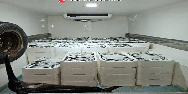 Operazione “Alalonga 2023”, la Guardia Costiera di Pozzallo sequestra 200 kg di prodotti ittici non tracciati