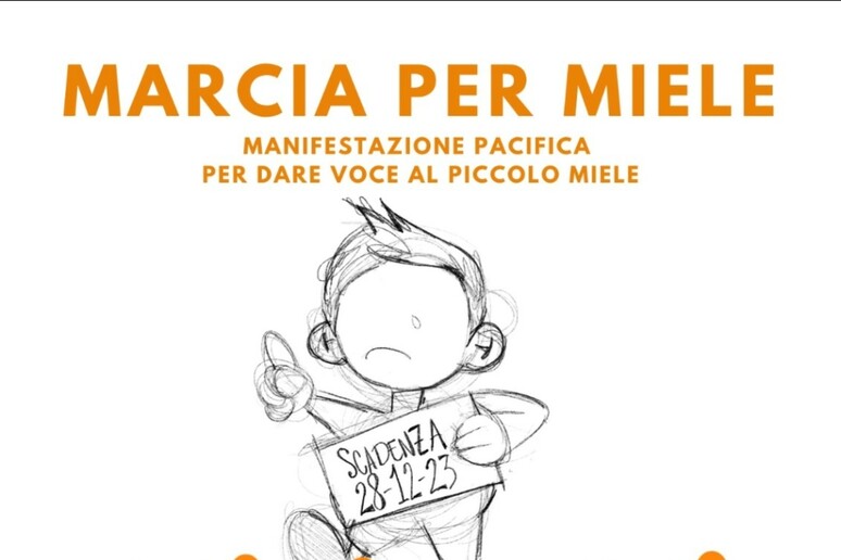 Il 2 dicembre un corteo a Catania per lasciare Miele, abbandonato a Ragusa, con i nuovi genitori