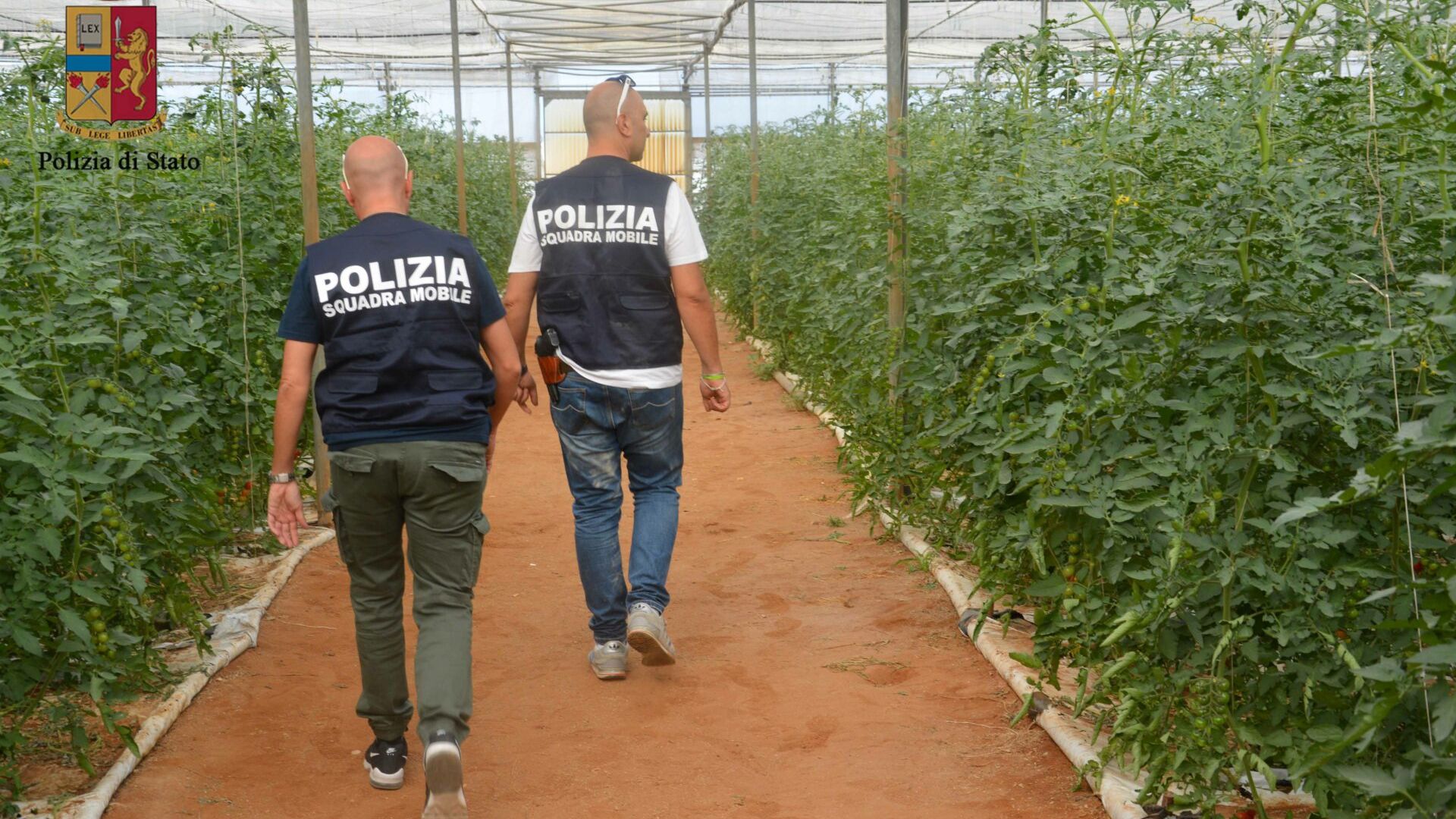 Sfruttamento del lavoro a Vittoria: denunciato un imprenditore agricolo di contrada Alcerito
