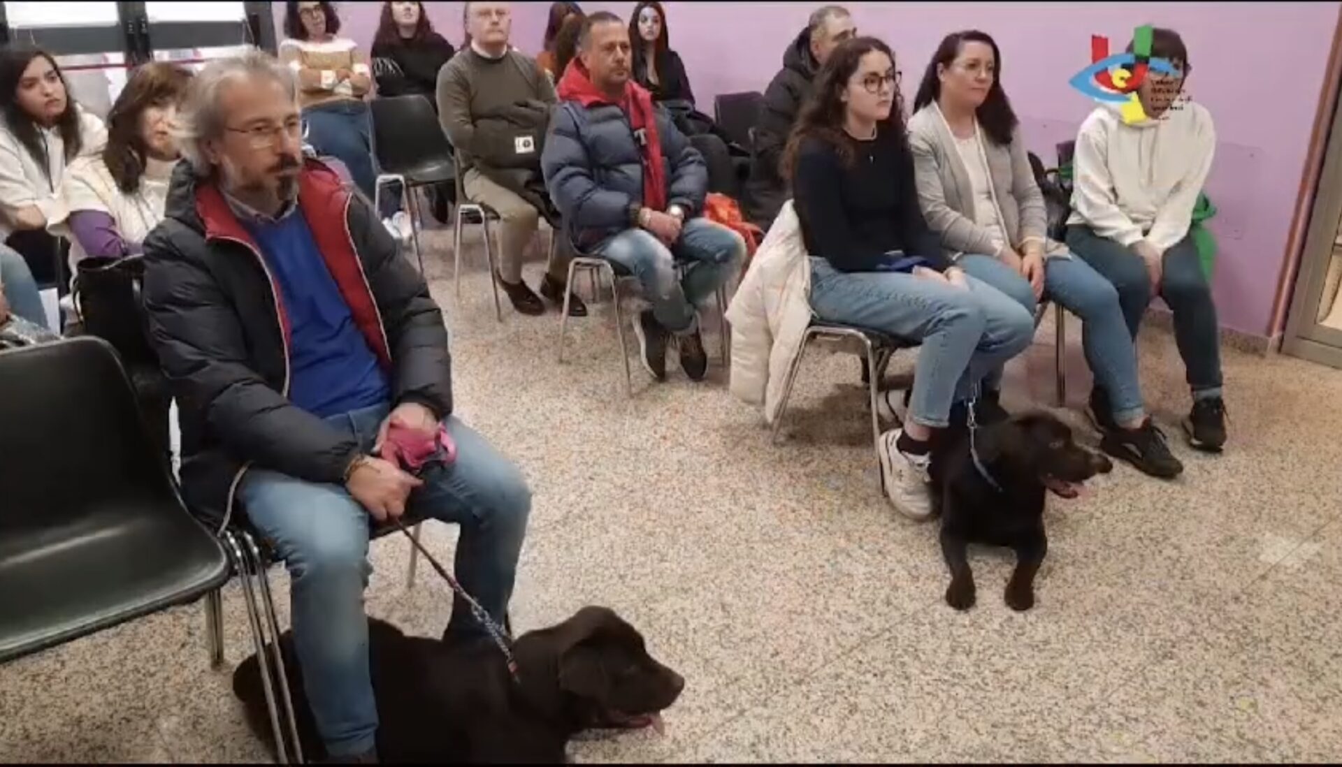 Ragusa: cerimonia di consegna dei cani guida dalle famiglie affidatarie al centro regionale Helen Keller