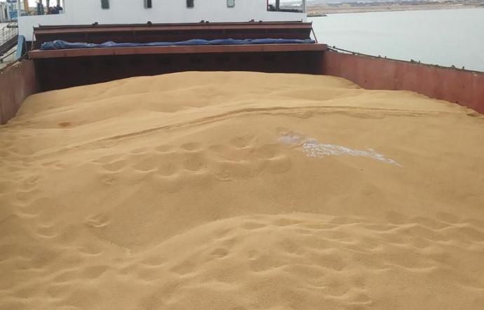 Pozzallo: lunedì di protesta al Porto. Agricoltori contro il grano contaminato che arriva dall’estero