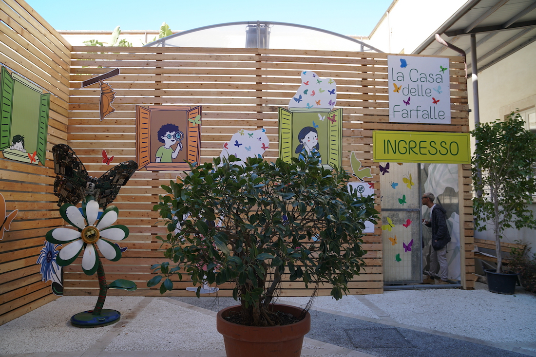 Ragusa e Palermo: casa delle farfalle aperture speciali per Pasqua