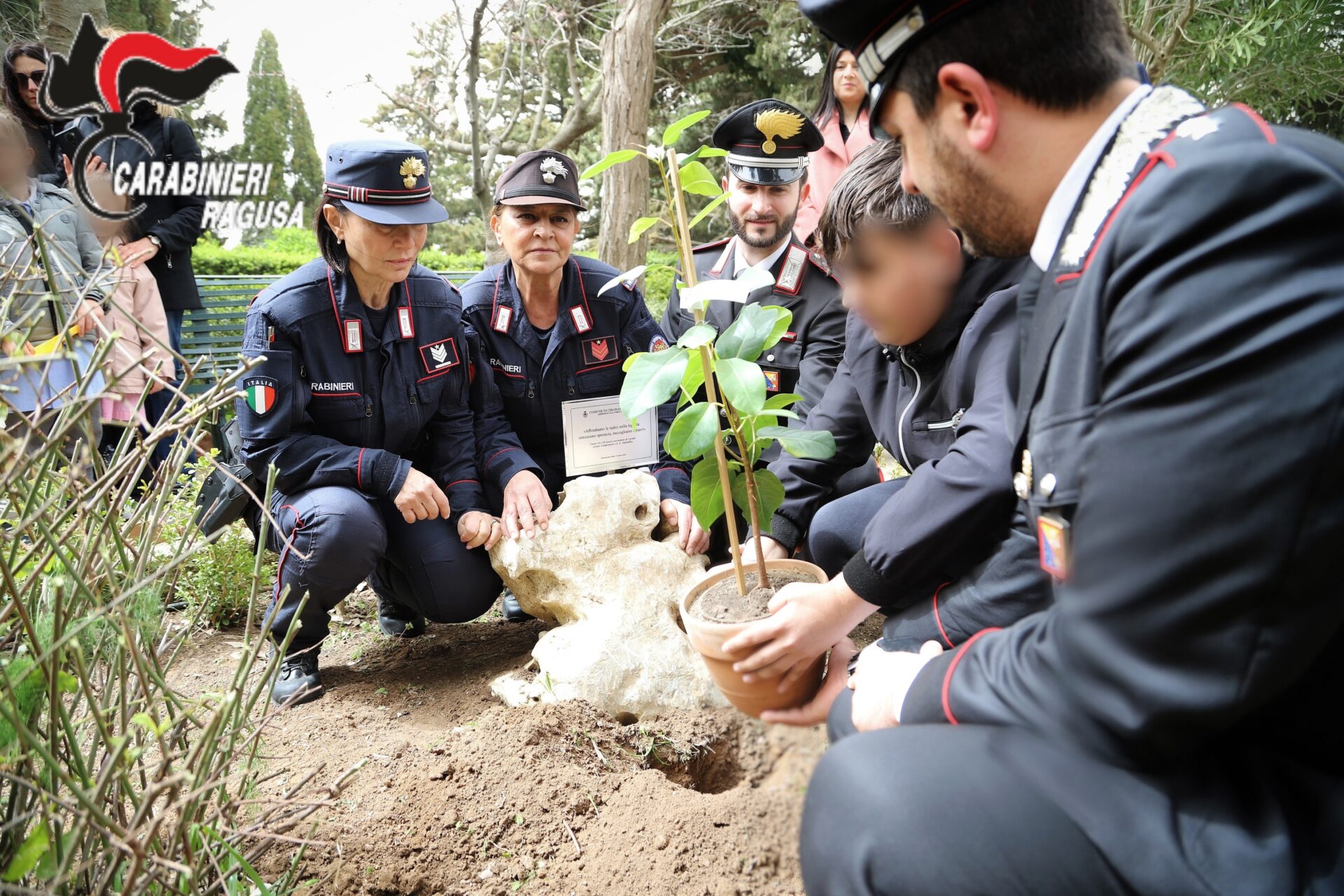 Una talea dell’albero “Falcone” a Chiaramonte Gulfi grazie ai Carabinieri