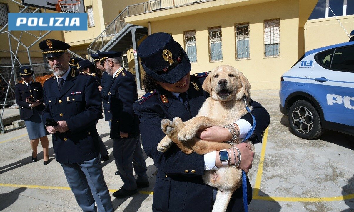 La Questura di Ragusa, l’impegno dei cinofili e le straordinarie capacità del cane al servizio della società