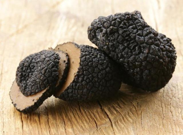Tartufo siciliano: dal governo regionale regole certe per tutelare il prodotto