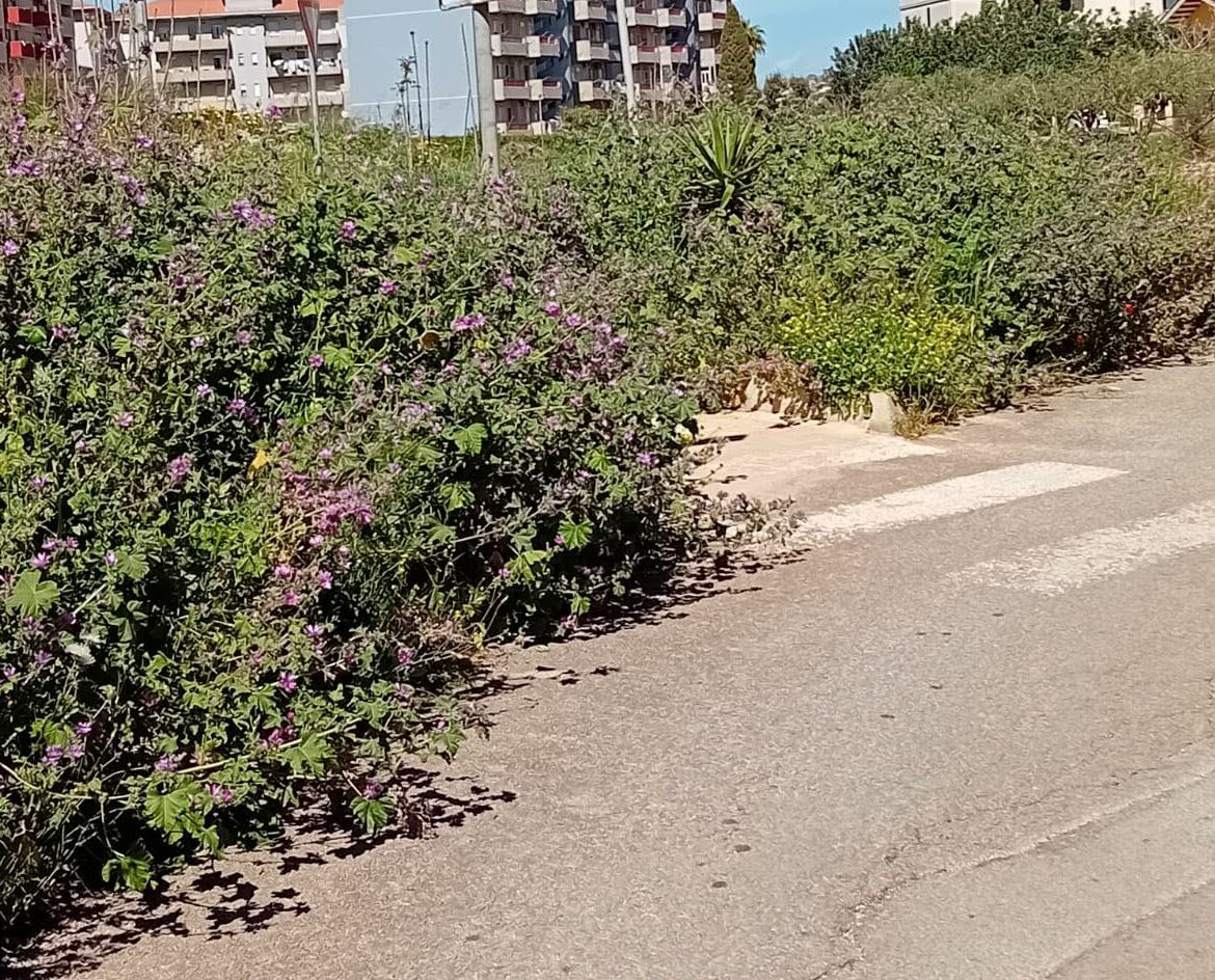 Modica, città invasa delle erbacce, scerbatura rinviata anche per Pasqua
